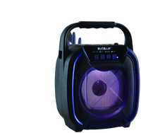 8" 600 watt Speaker - Portable Wireless Bluetooth Speaker with TWS Function